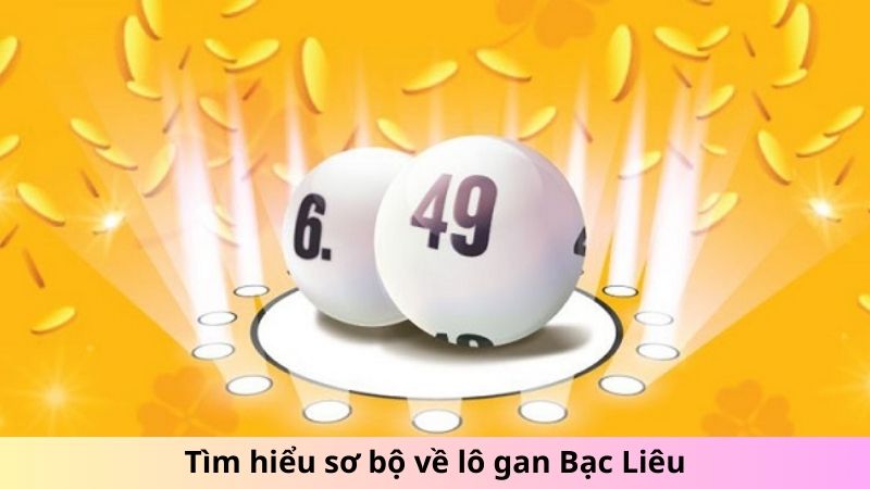 Tìm hiểu sơ bộ về lô gan ở Bạc Liêu