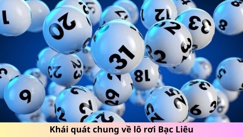 Khái quát chung về lô rơi Bạc Liêu